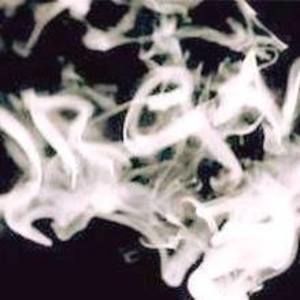 Meet your Posher, Tiano